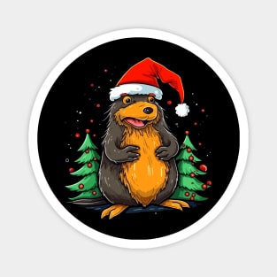 Platypus Christmas Magnet